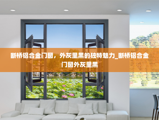 断桥铝合金门窗，外灰里黑的独特魅力_断桥铝合金门窗外灰里黑