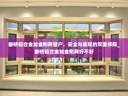 断桥铝合金加金刚网窗户，安全与美观的双重保障_断桥铝合金加金刚网好不好