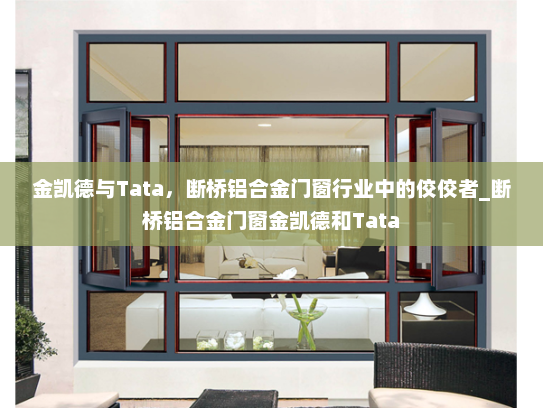 金凯德与Tata，断桥铝合金门窗行业中的佼佼者_断桥铝合金门窗金凯德和Tata