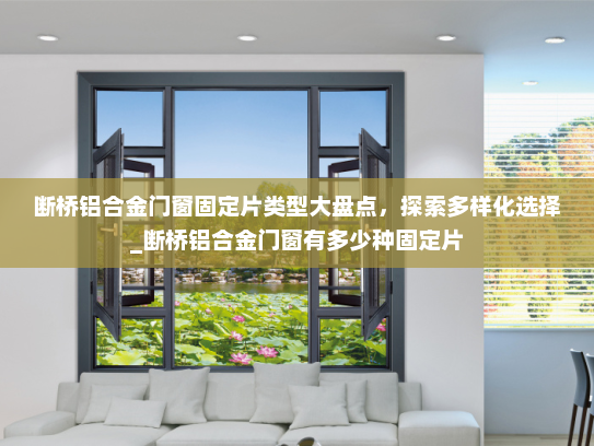 断桥铝合金门窗固定片类型大盘点，探索多样化选择_断桥铝合金门窗有多少种固定片