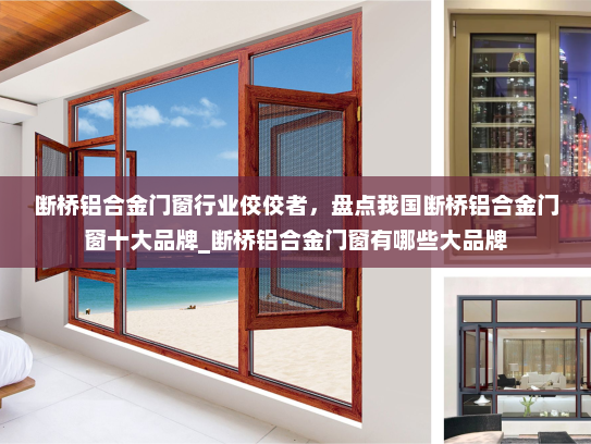 断桥铝合金门窗行业佼佼者，盘点我国断桥铝合金门窗十大品牌_断桥铝合金门窗有哪些大品牌